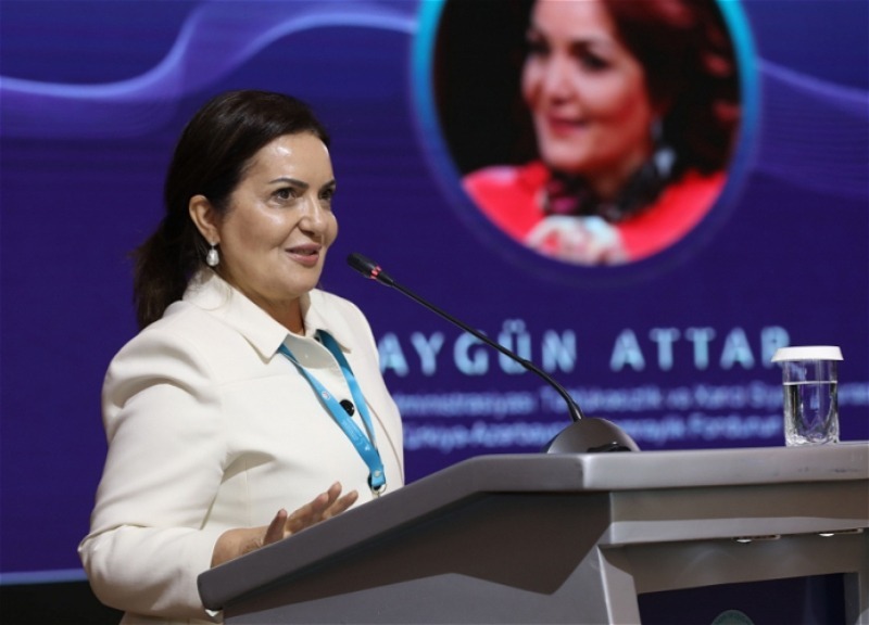 Айгюн Аттар призвала Эрдогана пригласить Азербайджан на саммит НАТО
