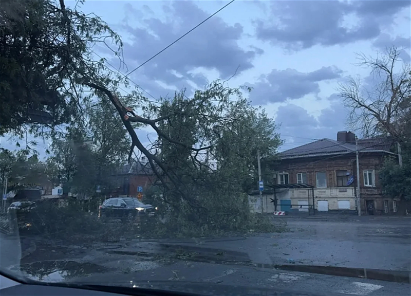 В Ростове-на-Дону из-за непогоды погиб человек, еще 13 пострадали