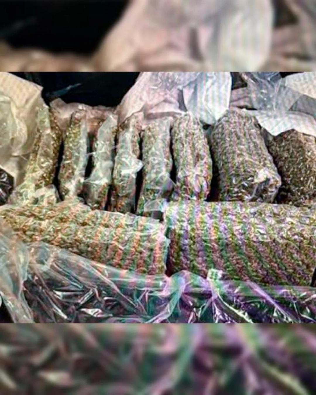 
В аэропорту Алматы обнаружили зараженную продукцию из Нидерландов и Армении