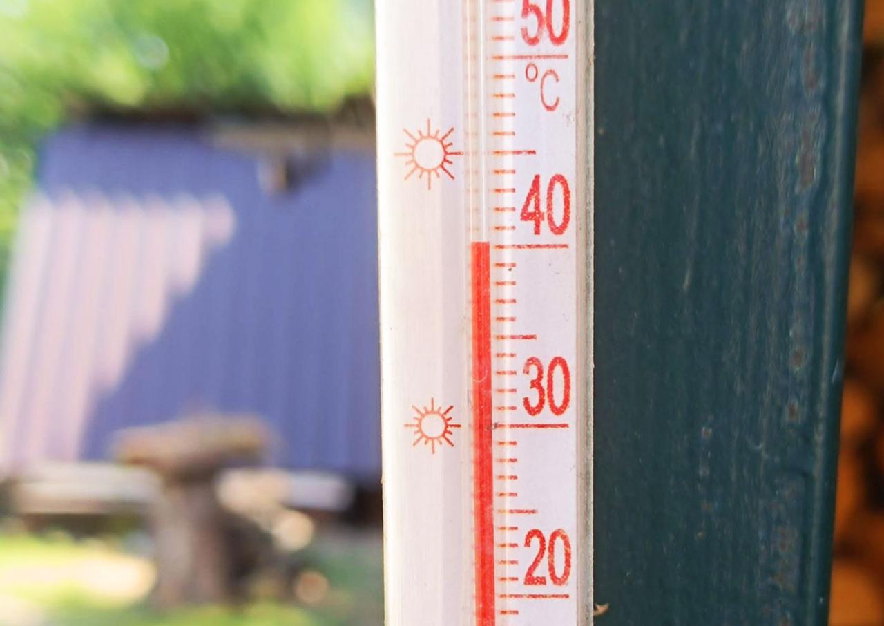 Аномальная жара в Чехии побила более 100 температурных рекордов