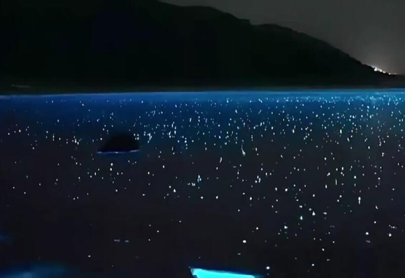 На Мальте сняли "море из звезд"