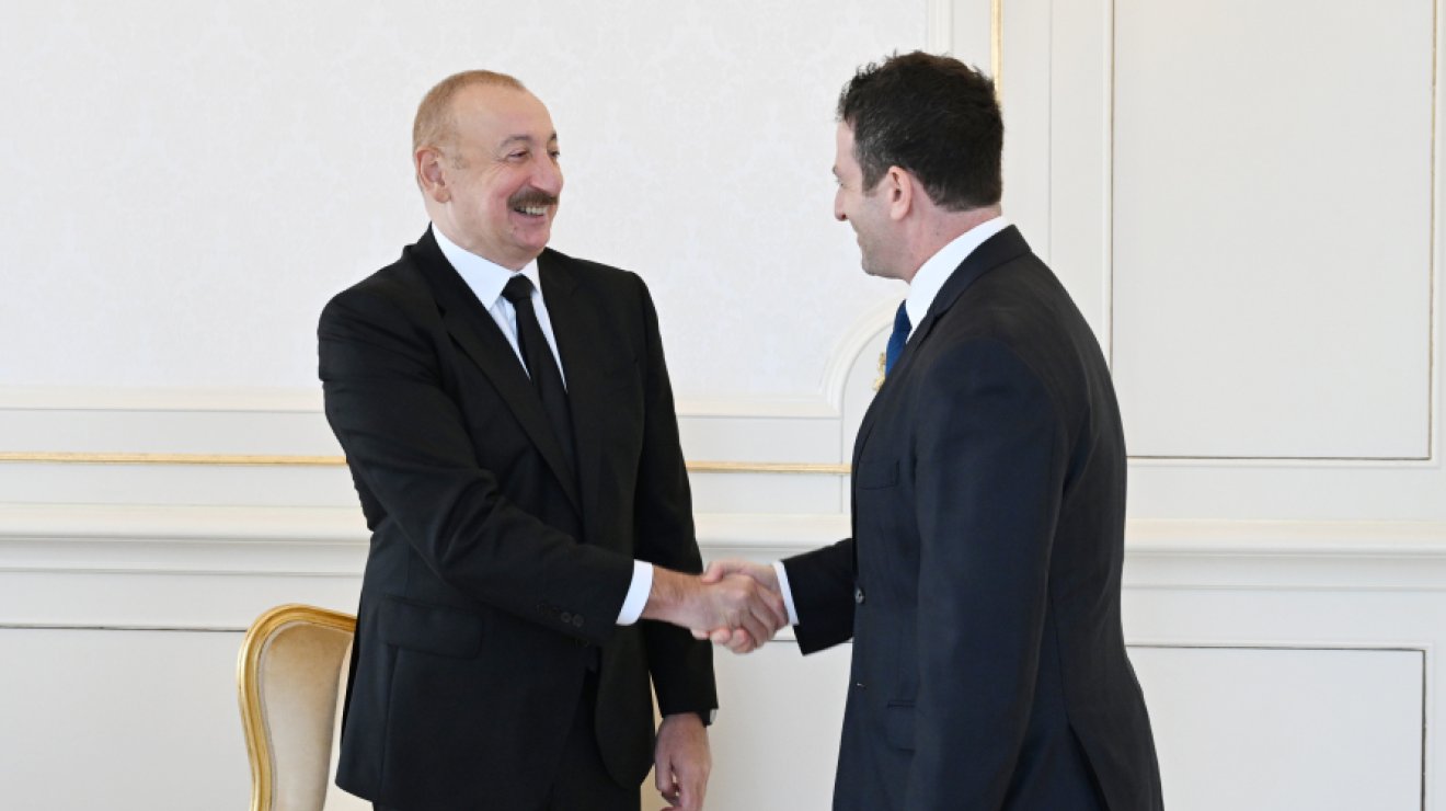 Президент Ильхам Алиев принял президента компании The Goldman Sachs Group Inc. по глобальным вопросам