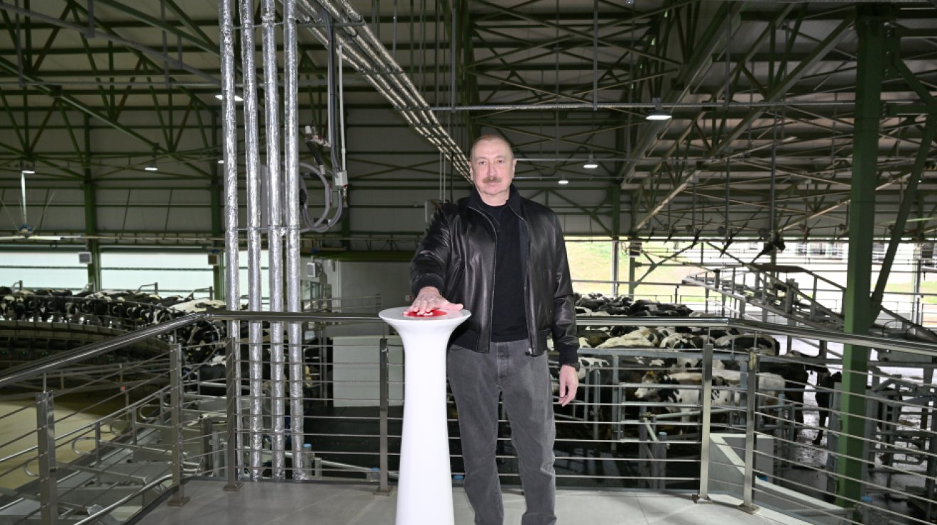 Знаковый ренессанс