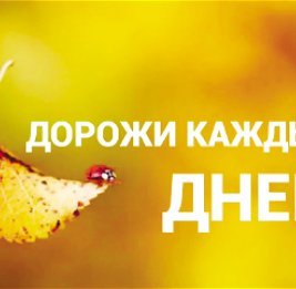 Фактор ответственности
