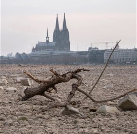 Изменение климата может обойтись Германии в 900 млрд евро