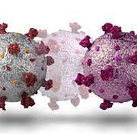 ВОЗ: подвариант коронавируса EG.5 может распространиться по всему миру