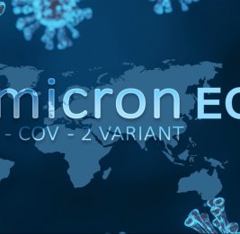 ВОЗ: Доля варианта EG.5 коронавируса в мире превысила 33 процента