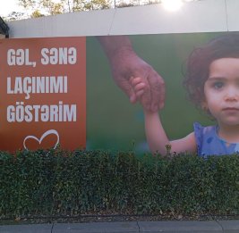 Восточно-зангезурский ренессанс 