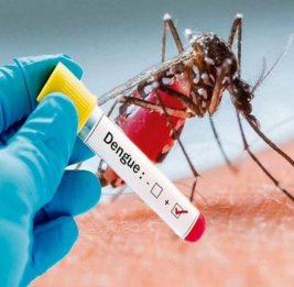 Бразилия начинает вакцинацию против денге в разгар самой страшной эпидемии за последние 40 лет