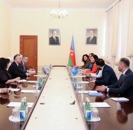 Азербайджан и ЮНИСЕФ рассматривают возможность совместных проектов в области программ иммунизации