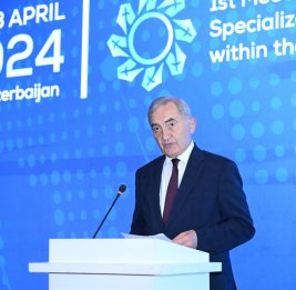 Генеральный секретарь ОЧЭС: Туристический сектор в Азербайджане развивается день ото дня и результаты налицо
