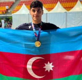 В Международный паралимпийский комитет направлено обращение об участии азербайджанского пловца в летней Олимпиаде