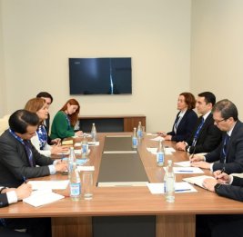 Обсуждено сотрудничество между Азербайджаном и ЮНЕСКО