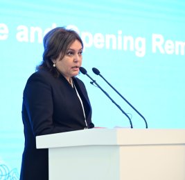 Умайра Тагиева: Двухгодичный отчет о прозрачности Азербайджана по изменению климата будет представлен до COP29
