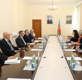 Глава миссии: Глобальный фонд совместно с Министерством здравоохранения Азербайджана реализует ряд важных проектов в Азербайджане