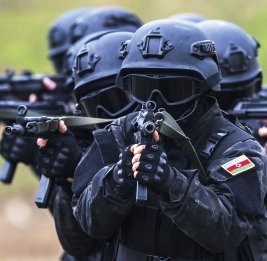 Стратегия суверенитета

