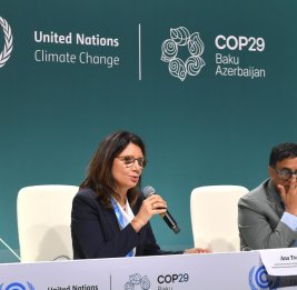 Секретарь Бразилии по вопросам изменения климата: Достижение COP30 зависит от успеха COP29