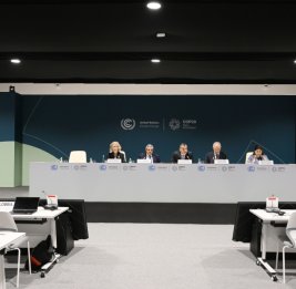 СОР29: Объявлена «Декларация COP29 об усовершенствовании климатических действий в туристическом секторе»