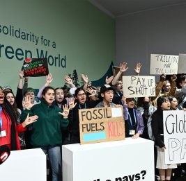 На COP29 прошла очередная акция