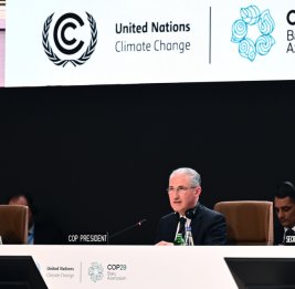 На COP29 определена новая климатическая цель