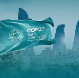 Исторический успех COP29: "Зеленый свет" углеродному рынку