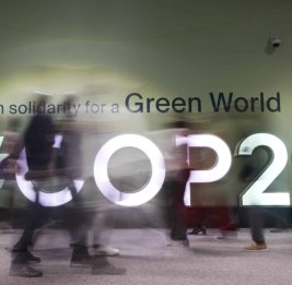 Сайты, подвергшиеся наибольшему количеству кибератак во время COP29