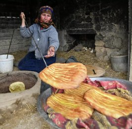 Вклад в мировую культуру