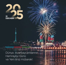 Первый вице-президент Мехрибан Алиева поделилась публикацией по случаю Дня солидарности азербайджанцев мира и Нового года