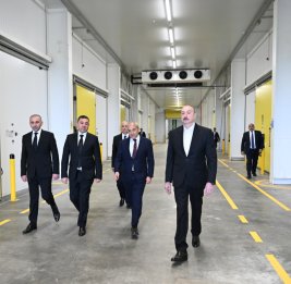 Президент Ильхам Алиев ознакомился с деятельностью садоводческого и холодильно-складского комплекса в Гусарском районе