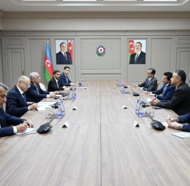Премьер-министр Али Асадов встретился с министром нефти Пакистана