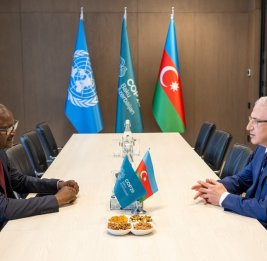 Руководство COP29 встретилось с министром окружающей среды Гвинеи-Бисау