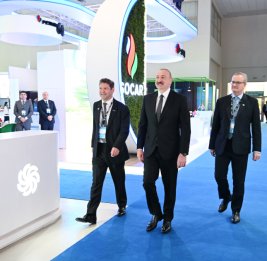 На пути к «зеленому» лидерству

