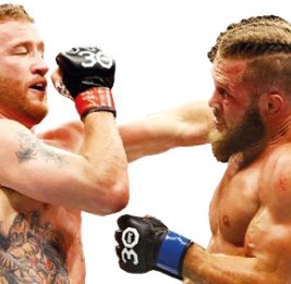 Гейджи против UFC
