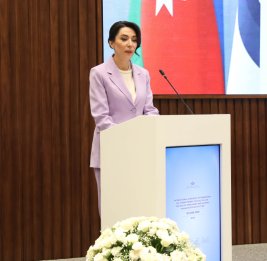 Сабина Алиева: Создание института омбудсмена является проявлением высочайшего значения, придаваемого правам человека в нашей стране