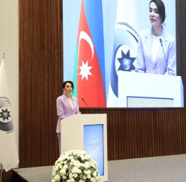 Омбудсмен: Наша страна все еще страдает от последствий политики оккупации и этнической чистки