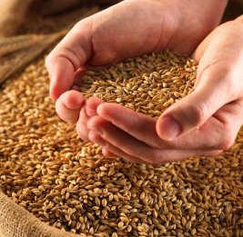 Стратегический продукт


