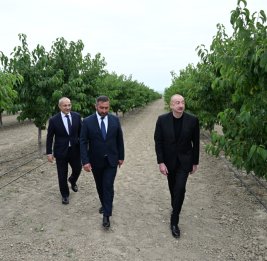 Президент Ильхам Алиев принял участие в открытии Евлахского пилотного агропарка  БУДЕТ ОБНОВЛЕНО