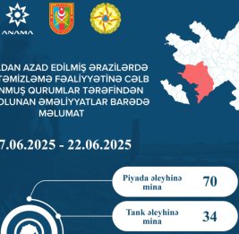 ANAMA: За прошедшую неделю обезврежено 104 мины и 1445 неразорвавшихся боеприпасов