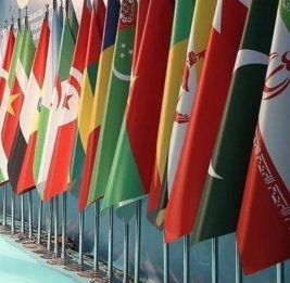 ОИС поддержал право западных азербайджанцев на возвращение
