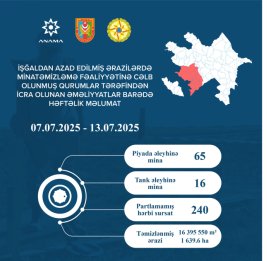 ANAMA: На прошлой неделе обезврежены 81 мина и 240 неразорвавшихся боеприпасов