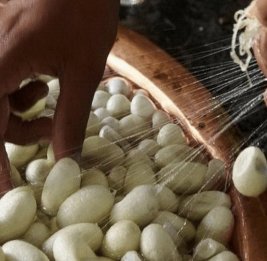 Источник валюты и занятости 