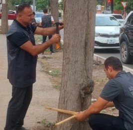 Цифровая экология в тренде 