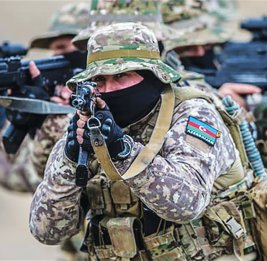 Триумф воли и интеллекта