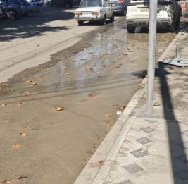 На шаг впереди стихии