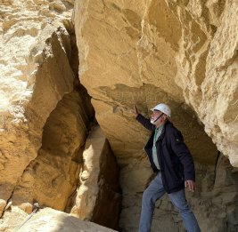 Фауна как часть исторического наследия
