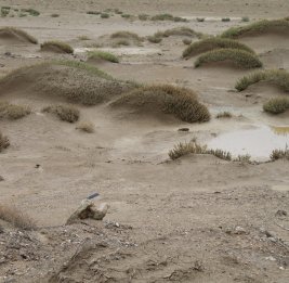 Море мелеет раз, море мелеет два…
