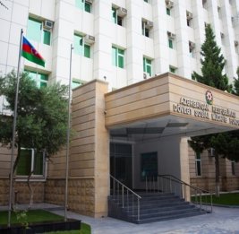 Социальная поддержка на взлете
