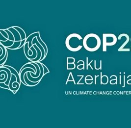 Подготовительные работы к COP30 продолжаются