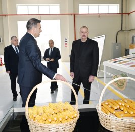 Ознакомление с деятельностью семеноводческого предприятия в Сабирабадском промышленном квартале