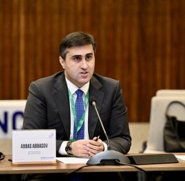 Аббас Аббасов: Всем хорошо известны человеческие трагедии, имевшие место в странах Центральной Африки